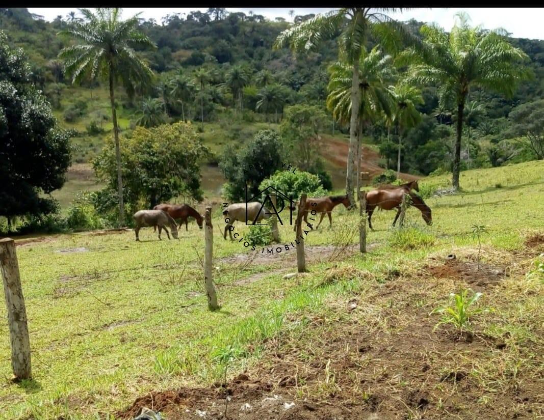 Fazenda, 17 hectares - Foto 7