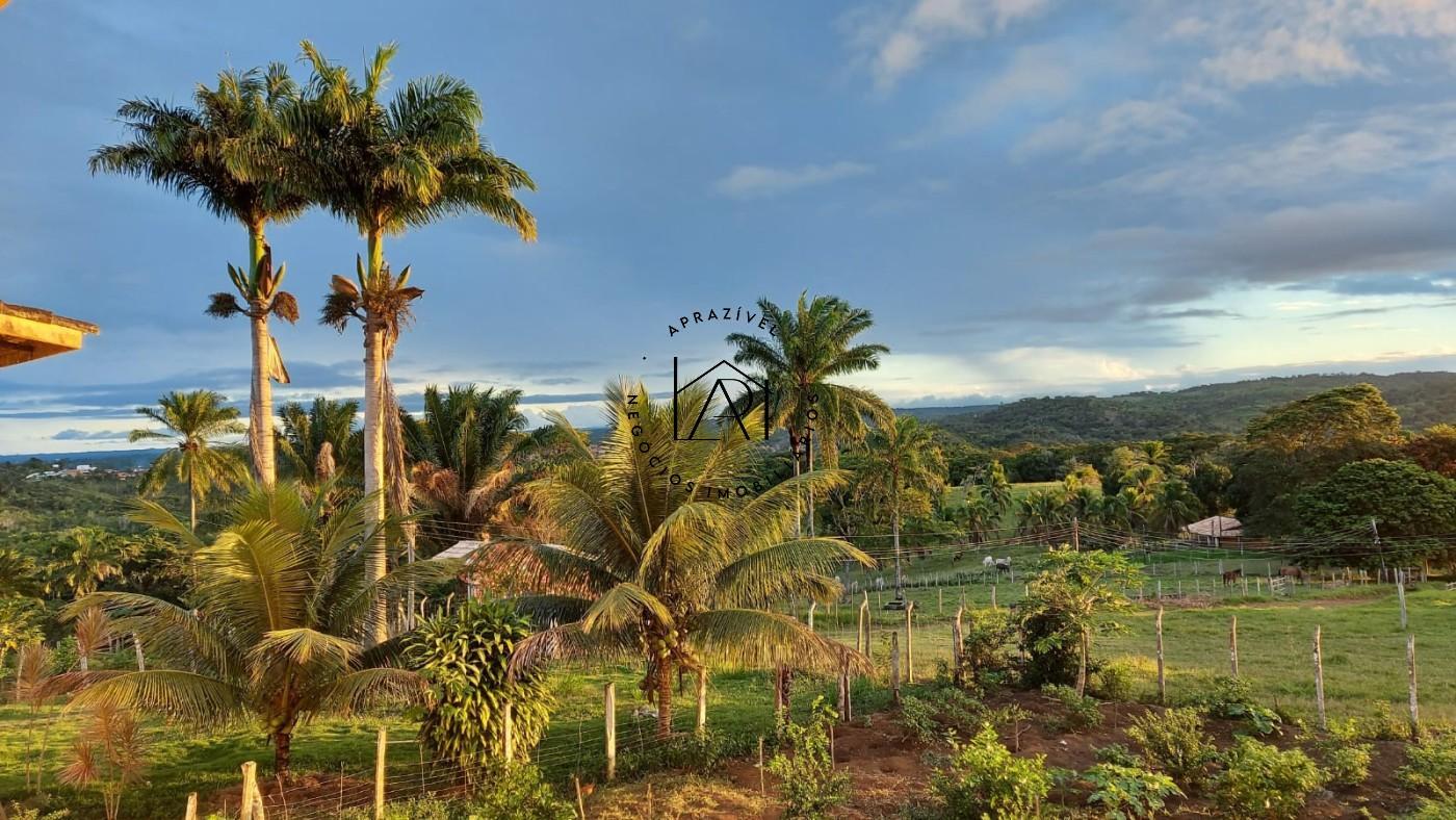 Fazenda, 17 hectares - Foto 6