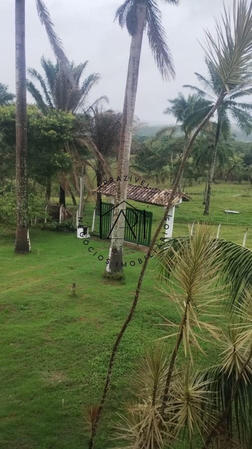 Fazenda, 17 hectares - Foto 12